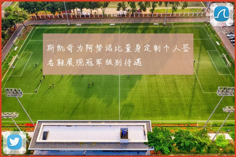 斯凯奇为阿努诺比量身定制个人签名鞋展现冠军级别待遇