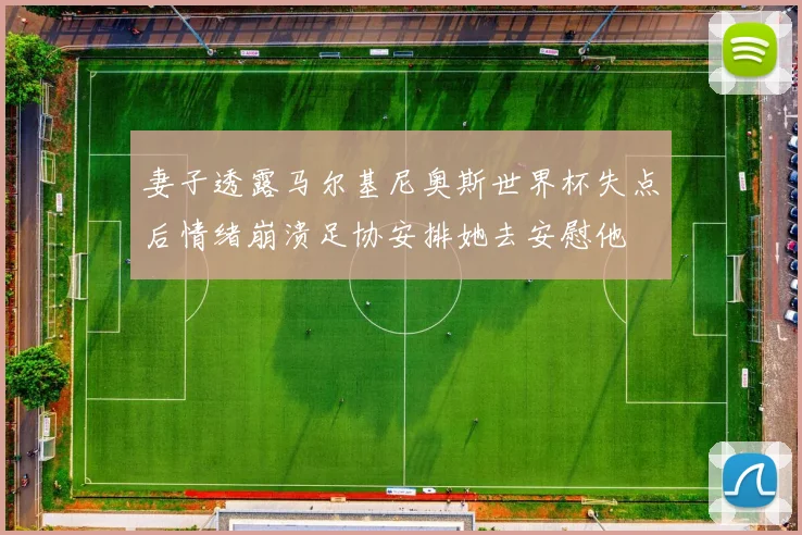 妻子透露马尔基尼奥斯世界杯失点后情绪崩溃足协安排她去安慰他
